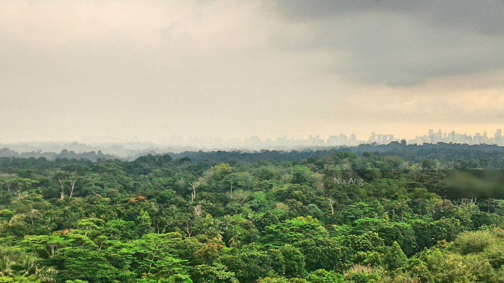 Eco Sanctuary (D23), Condominium #135482342
